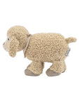 Flake the Sheep