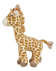Kaya the Giraffe
