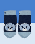Preston the Bear Set