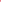 Blush Cardigan in Poinsettia