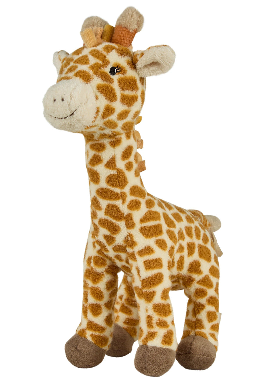 Kaya the Giraffe