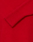 Sage Knit turtleneck in Salsa