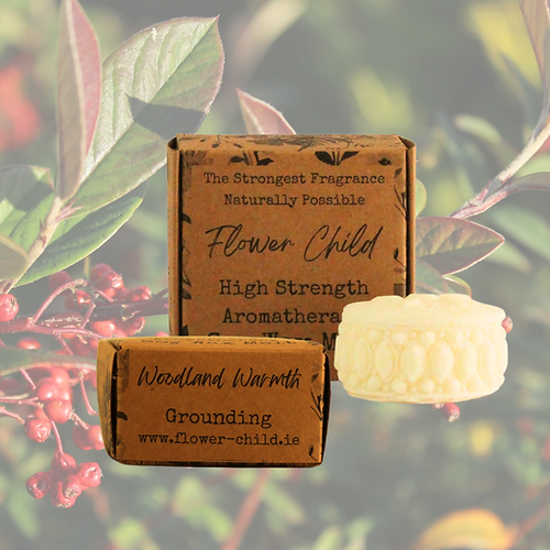 Woodland Warmth Wax Melt Tart