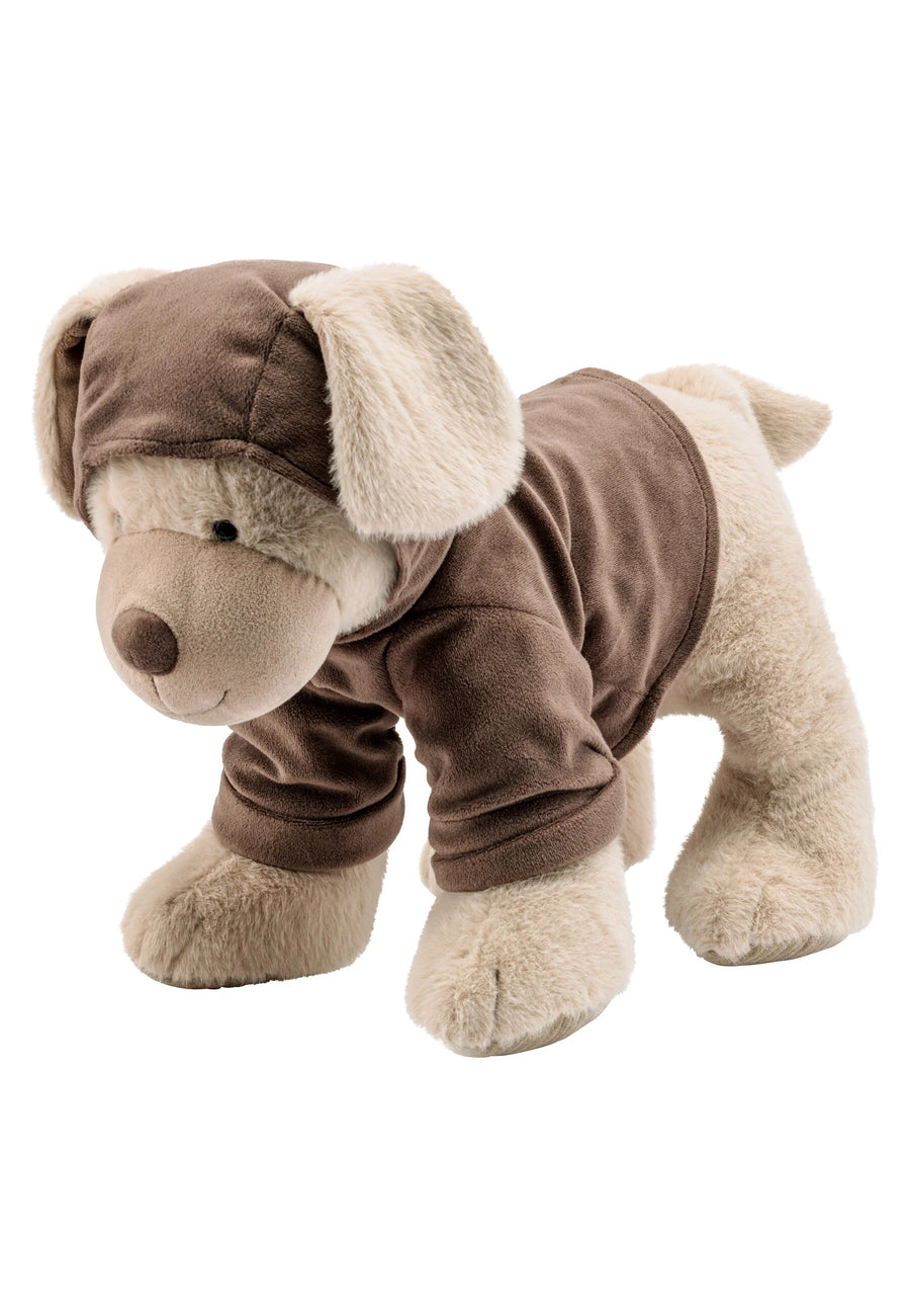 Lucky Dog Teddy Large
