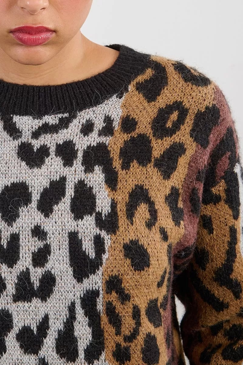 Striped and Leopard Knit Sweater