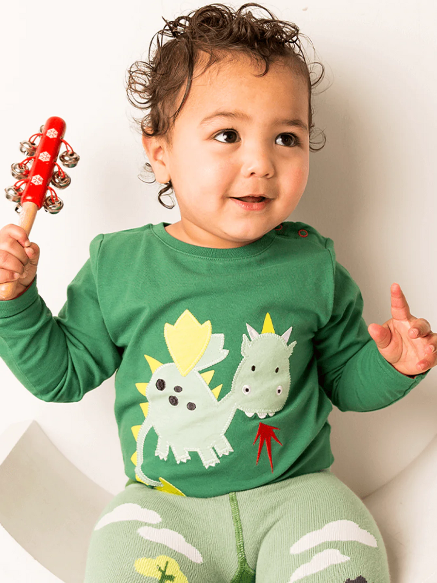 Teddy the Dragon Set